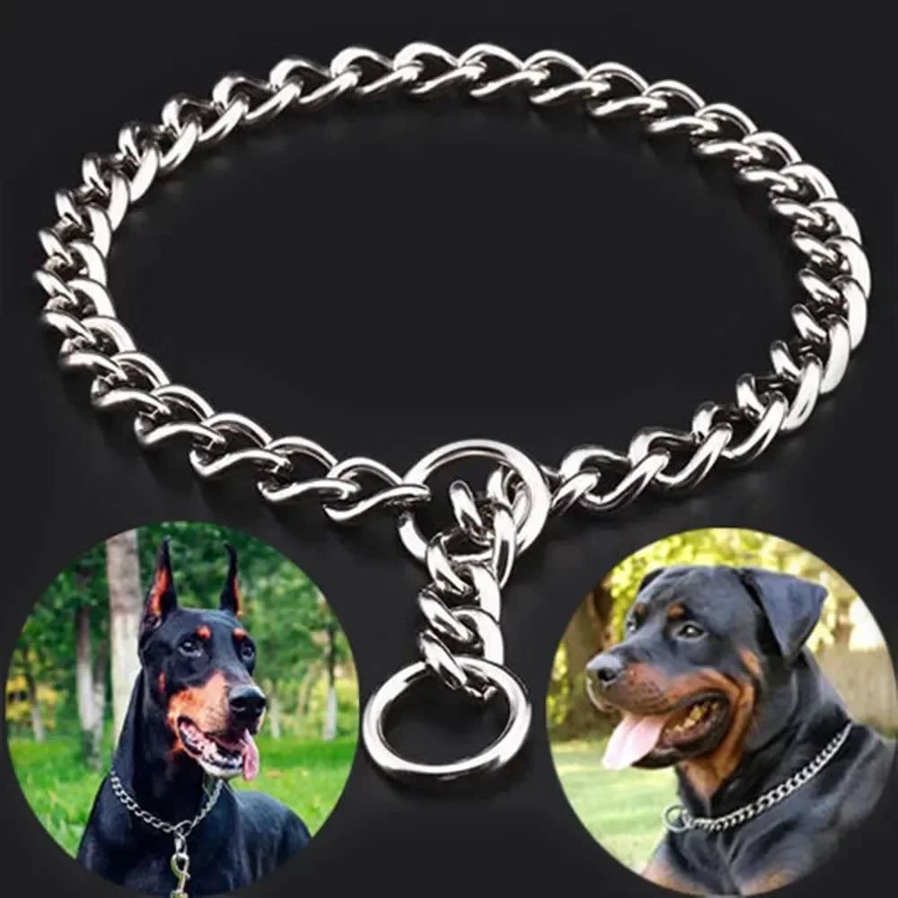 Collier chaîne chien sur gros chien 5 tailles disponibles