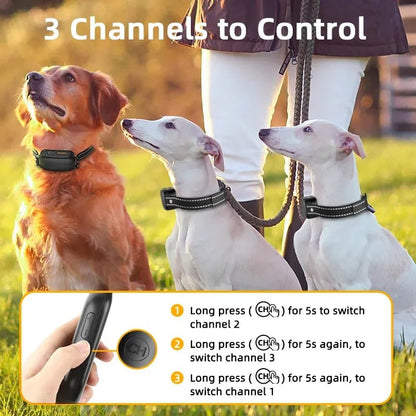 Collier de Dressage Électrique ROJECO – Télécommande & Modes Éducatifs | Noble Truffe - Noble Truffe