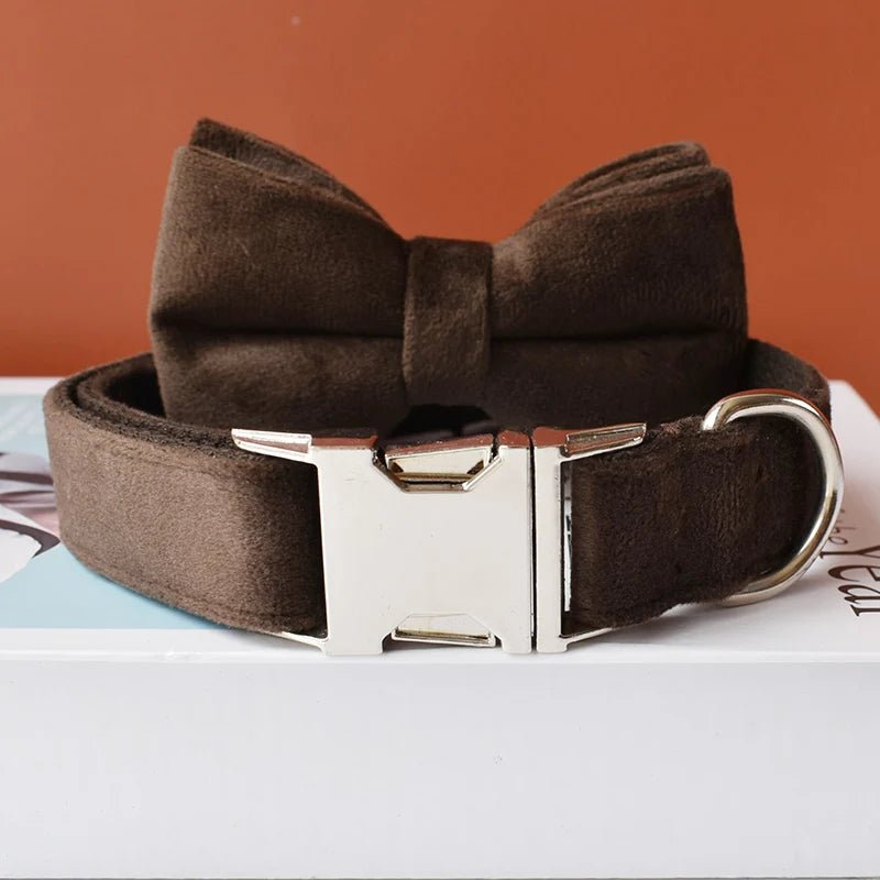 Collier en Velours Chocolat pour Chien – Gravure Personnalisée & Laisse Assortie - Noble Truffe