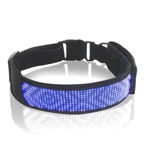 Collier LED pour Chien Connecté – Bluetooth, Lumineux & Personnalisable - Noble Truffe