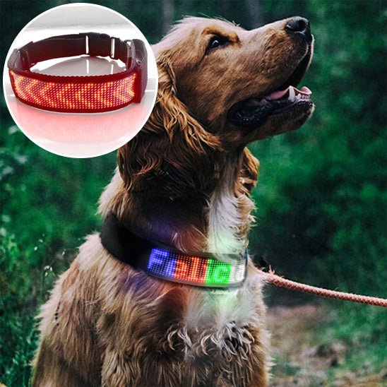 Collier LED pour Chien Connecté – Bluetooth, Lumineux & Personnalisable - Noble Truffe