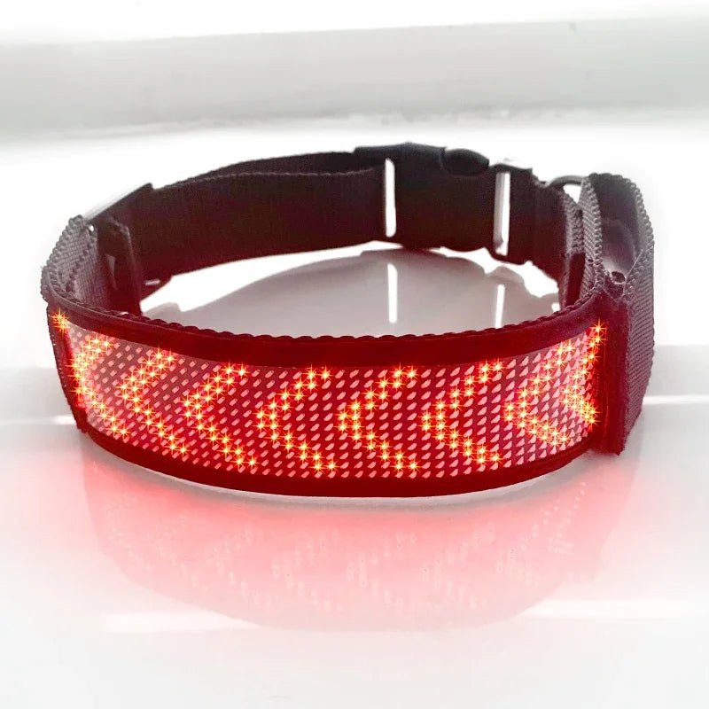 Collier LED pour Chien Connecté – Bluetooth, Lumineux & Personnalisable - Noble Truffe