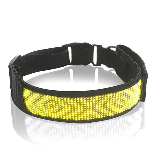 Collier LED pour Chien Connecté – Bluetooth, Lumineux & Personnalisable - Noble Truffe