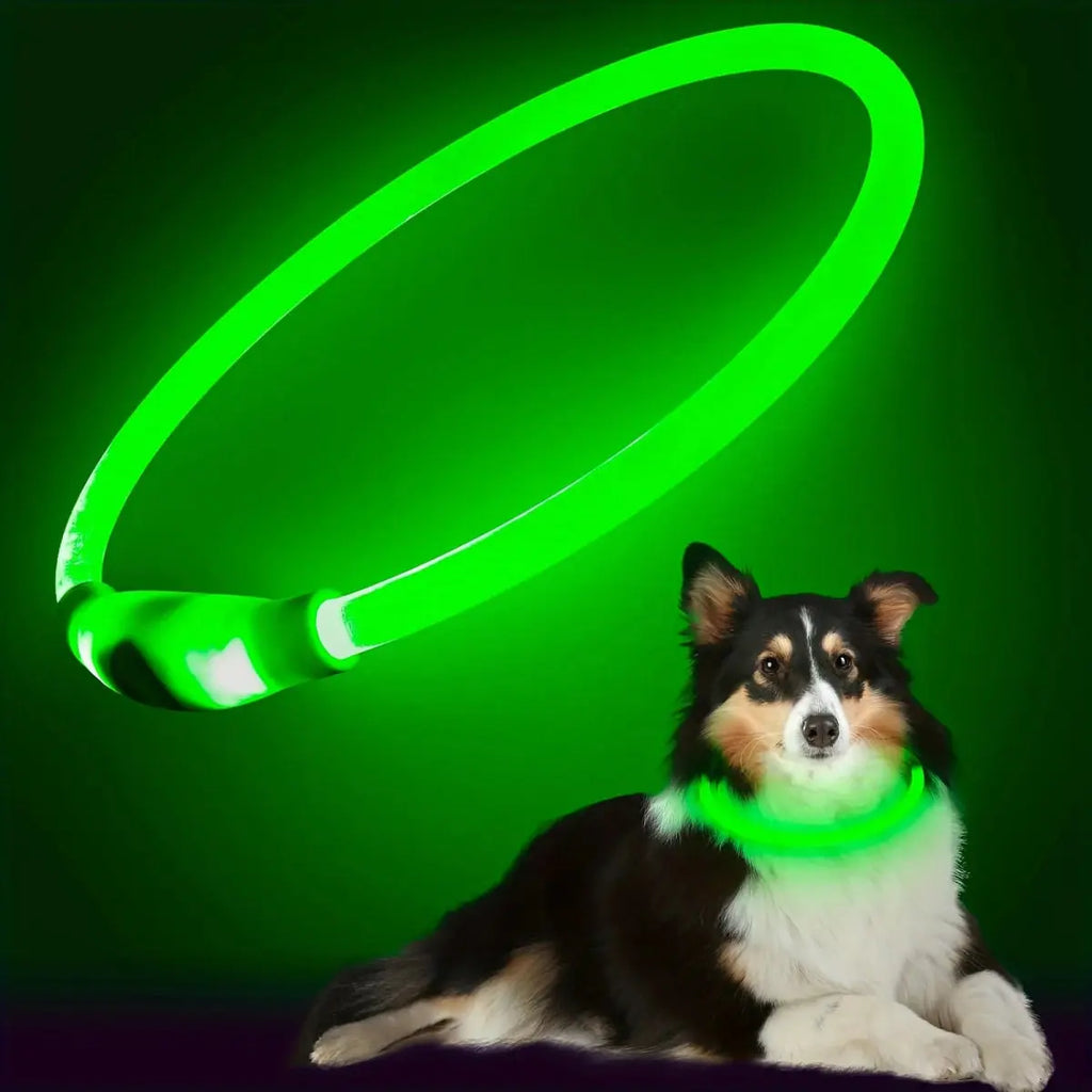Collier lumineux LED rechargeable USB - Noble Truffe