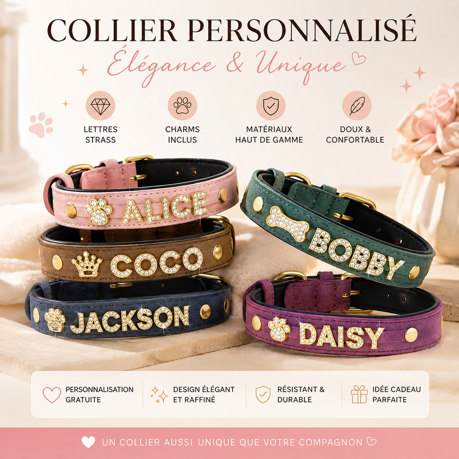 Collection de colliers personnalisés pour chien LumiPaw avec lettres strass et charms élégants.