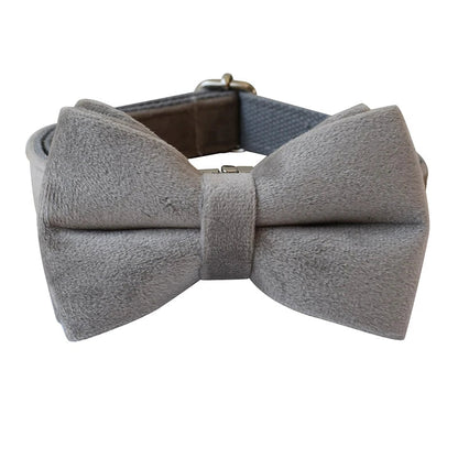Collier personnalisé pour Chien Gris Clair en Flanelle – Gravure & Laisse - Noble Truffe