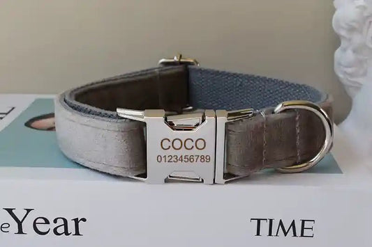 Collier personnalisé pour Chien Gris Clair en Flanelle – Gravure & Laisse - Noble Truffe
