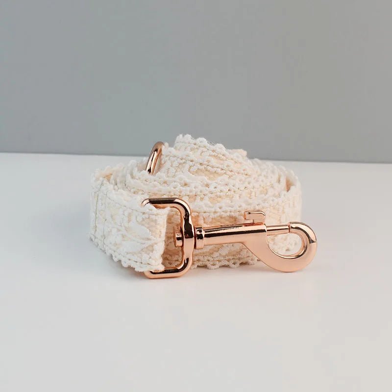 Collier pour Chien en Dentelle – Gravure Personnalisée, Fleur Amovible & Laisse Assortie - Noble Truffe