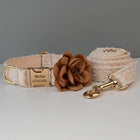 Collier pour Chien en Dentelle – Gravure Personnalisée, Fleur Amovible & Laisse Assortie