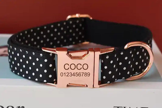 Collier pour Chien Noir à Pois avec Nœud Papillon – Gravure Personnalisée & Laisse - Noble Truffe