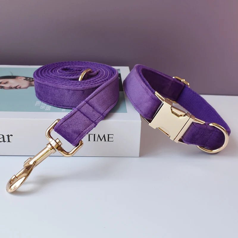 Collier Violet pour Chien – Gravure Personnalisée, Laisse & Nœud Papillon - Noble Truffe