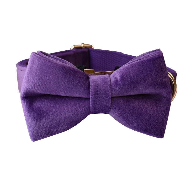 Collier Violet pour Chien – Gravure Personnalisée, Laisse & Nœud Papillon - Noble Truffe