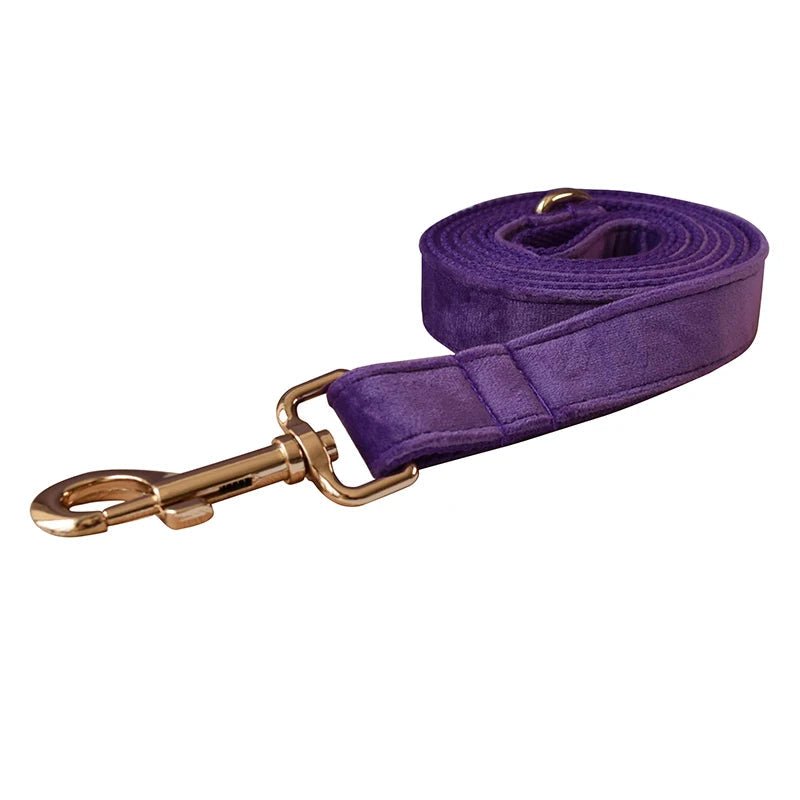 Collier Violet pour Chien – Gravure Personnalisée, Laisse & Nœud Papillon - Noble Truffe