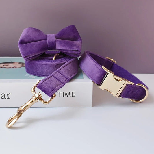 Collier Violet pour Chien – Gravure Personnalisée, Laisse & Nœud Papillon - Noble Truffe