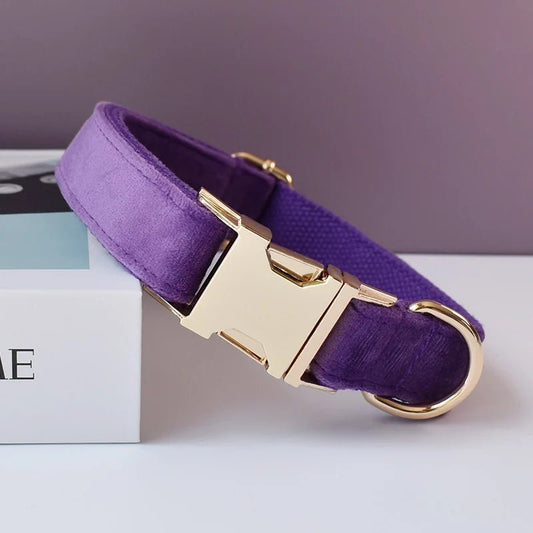 Collier Violet pour Chien – Gravure Personnalisée, Laisse & Nœud Papillon - Noble Truffe