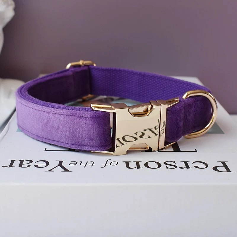 Collier Violet pour Chien – Gravure Personnalisée, Laisse & Nœud Papillon - Noble Truffe