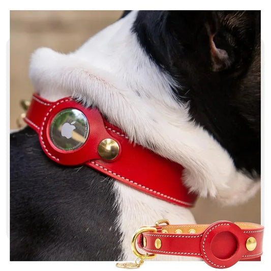 Collier AirTag rouge ajusté autour du cou d’un chien noir et blanc en position assise.