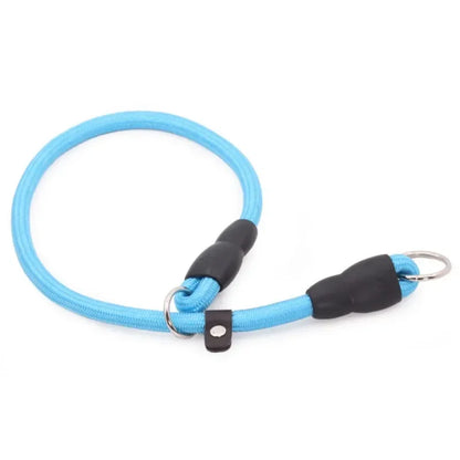 collier ajustable pour chien bleu en nylon avec anneau métallique