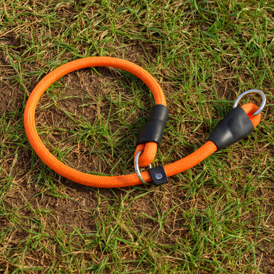 collier ajustable pour chien orange en nylon, posé en cercle sur l’herbe