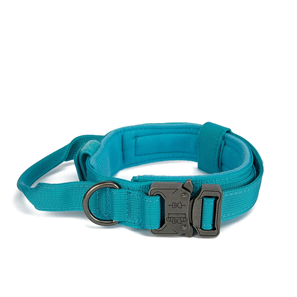 Collier de dressage bleu pour chien moyen – avec bandes réfléchissantes.