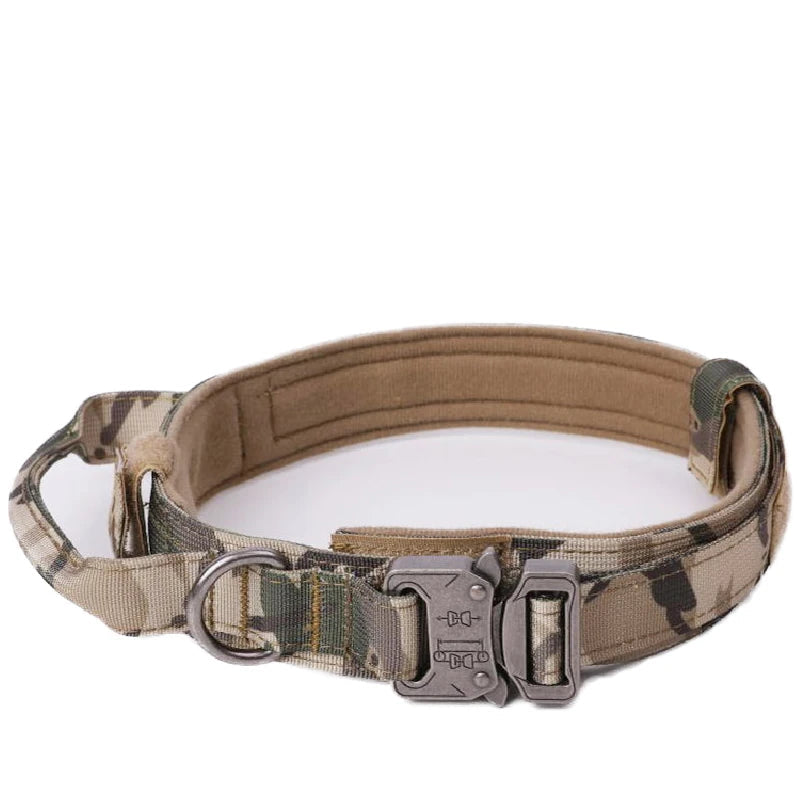 Collier camouflage beige pour chien – robuste et confortable.