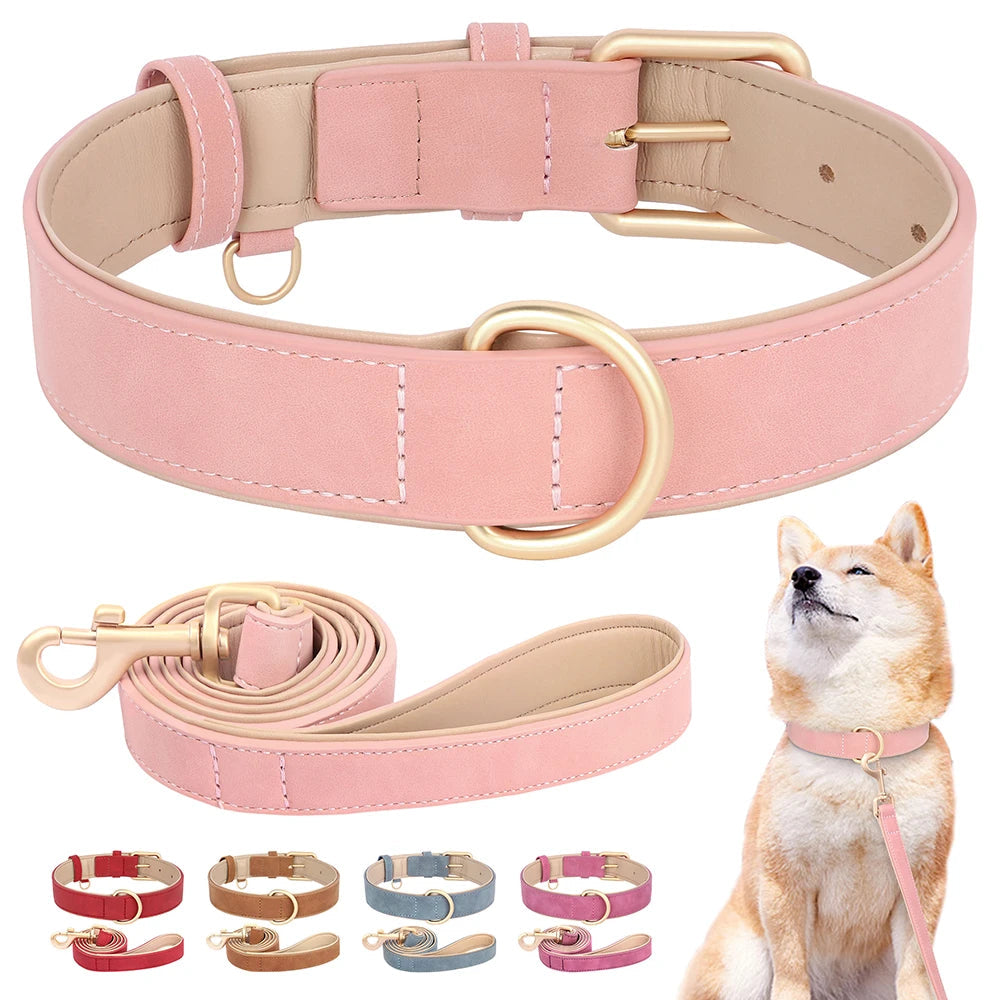 Collier pour chien rose en cuir doux avec laisse assortie et boucle dorée