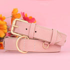 Collier pour chien doux et ajustable en cuir PU – Laisse assortie en option