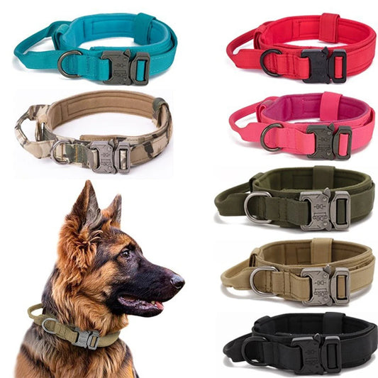 Collier tactique pour chien en nylon rouge et bleu avec boucle robuste, ajustable pour grand chien.