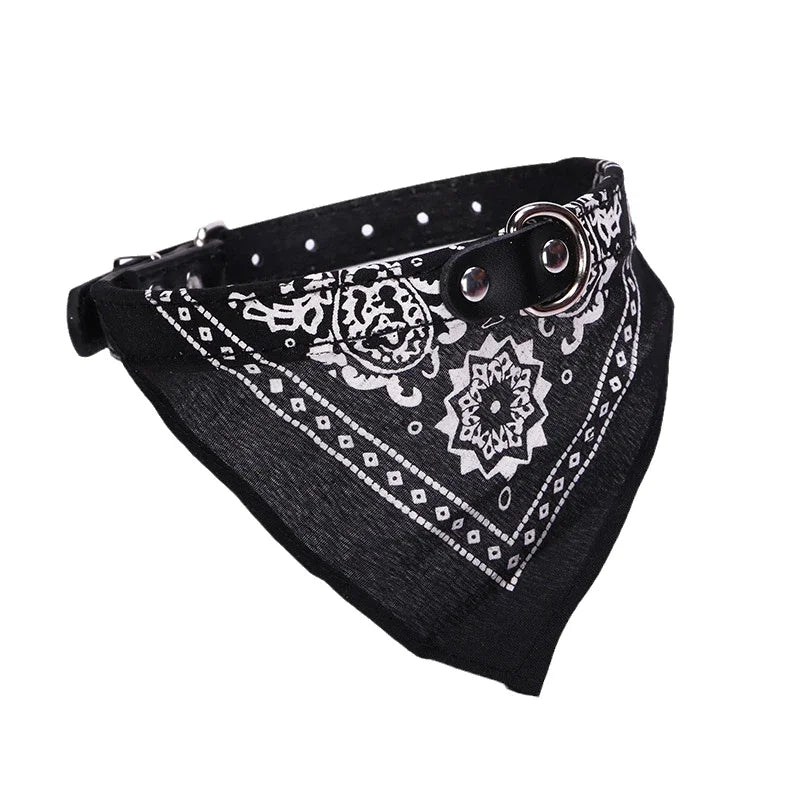 Collier foulard noir en position frontale pour présentation