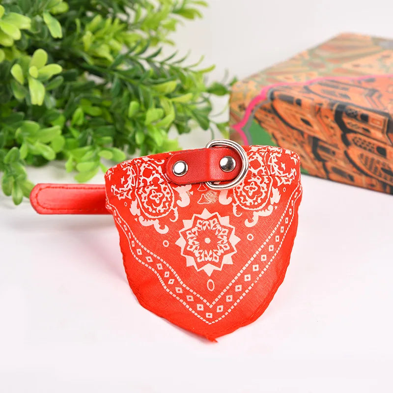 Collier foulard rouge mis en scène sur une pelouse