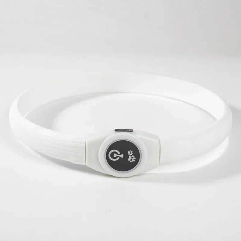 Collier pour chien LED blanc étanche et rechargeable, design simple et moderne