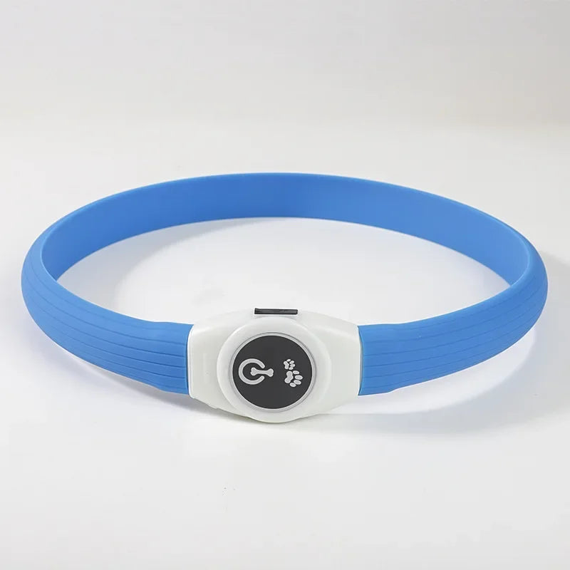 Collier pour chien LED bleu rechargeable, sécurité nocturne et visibilité maximale