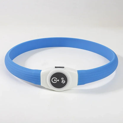 Collier pour chien LED bleu rechargeable, sécurité nocturne et visibilité maximale