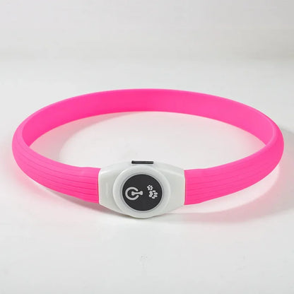 Démonstration du branchement USB d’un collier pour chien LED rechargeable
