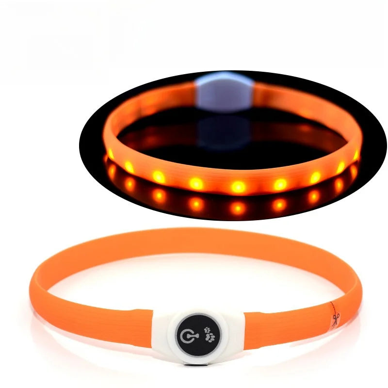 Collier pour chien LED rose rechargeable, ajustable et étanche