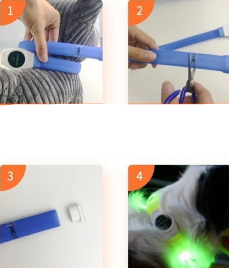 Gros plan du système de recharge USB pour collier pour chien LED
