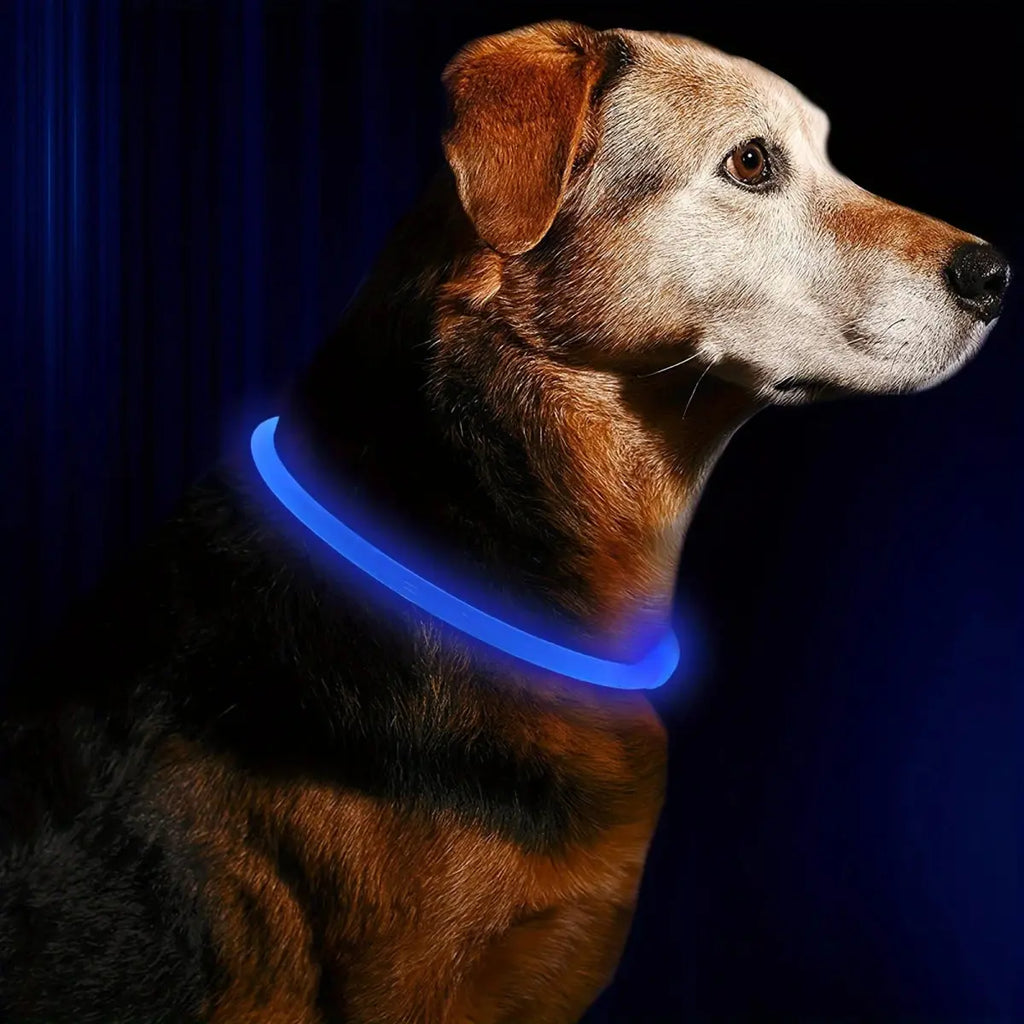 Collier lumineux LED rechargeable USB - Noble Truffe