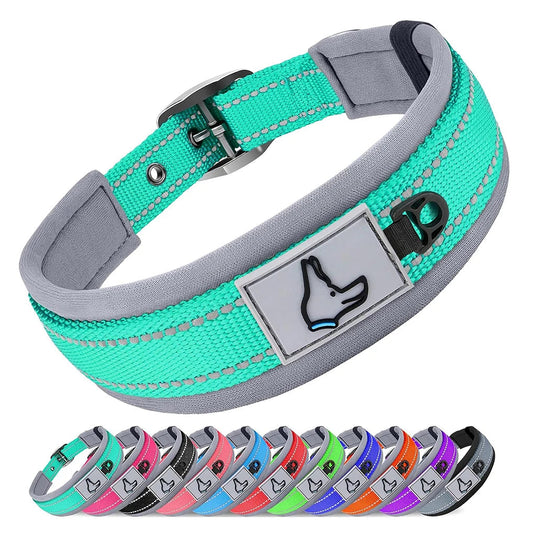 Collier pour chien couleur menthe avec bande réfléchissante et boucle solide