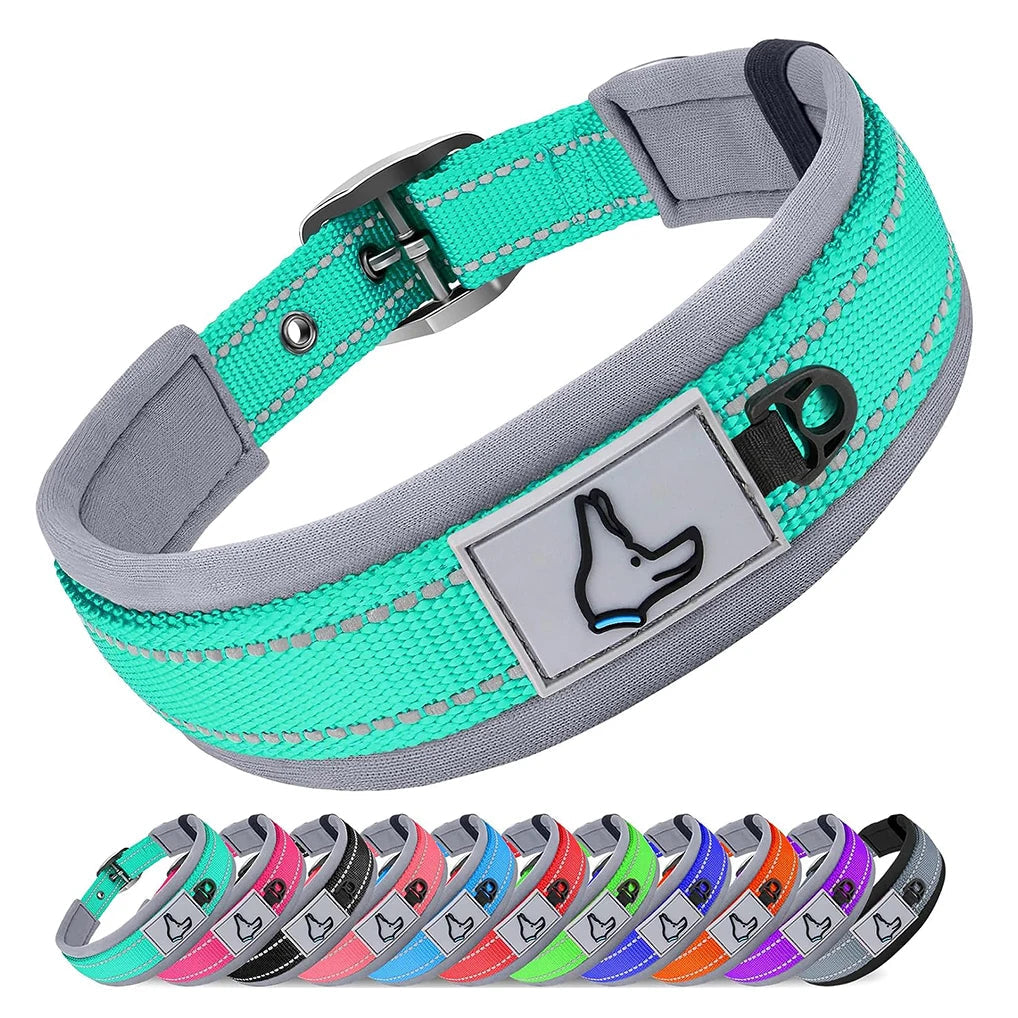 Collier pour chien couleur menthe avec bande réfléchissante et boucle solide