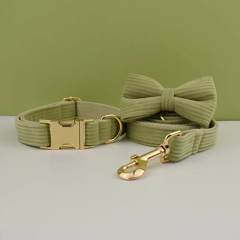 collier personnalisé sans écriture pour chien avec gravure prénom et numéro, boucle métal, laisse assortie et nœud papillon
Magnifique pack vert velour