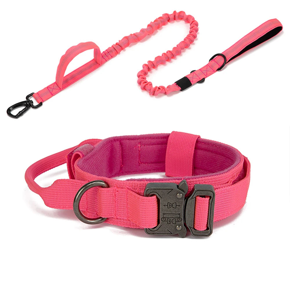 Collier de dressage rose pour petit chien – nylon doux et solide.
