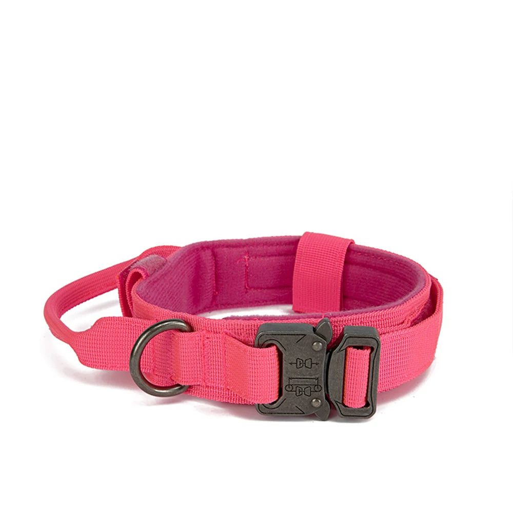Collier rose vif pour petite à moyenne chienne – look stylé et fonctionnel.