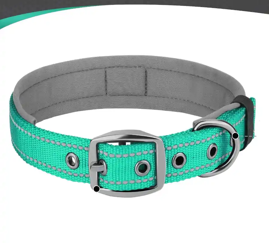 Collier en nylon vert fonce avec boucle métallique et doublure grise