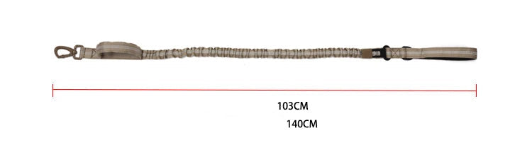 Collier de dressage porté par berger allemand – maintien sécurisé et confort renforcé.