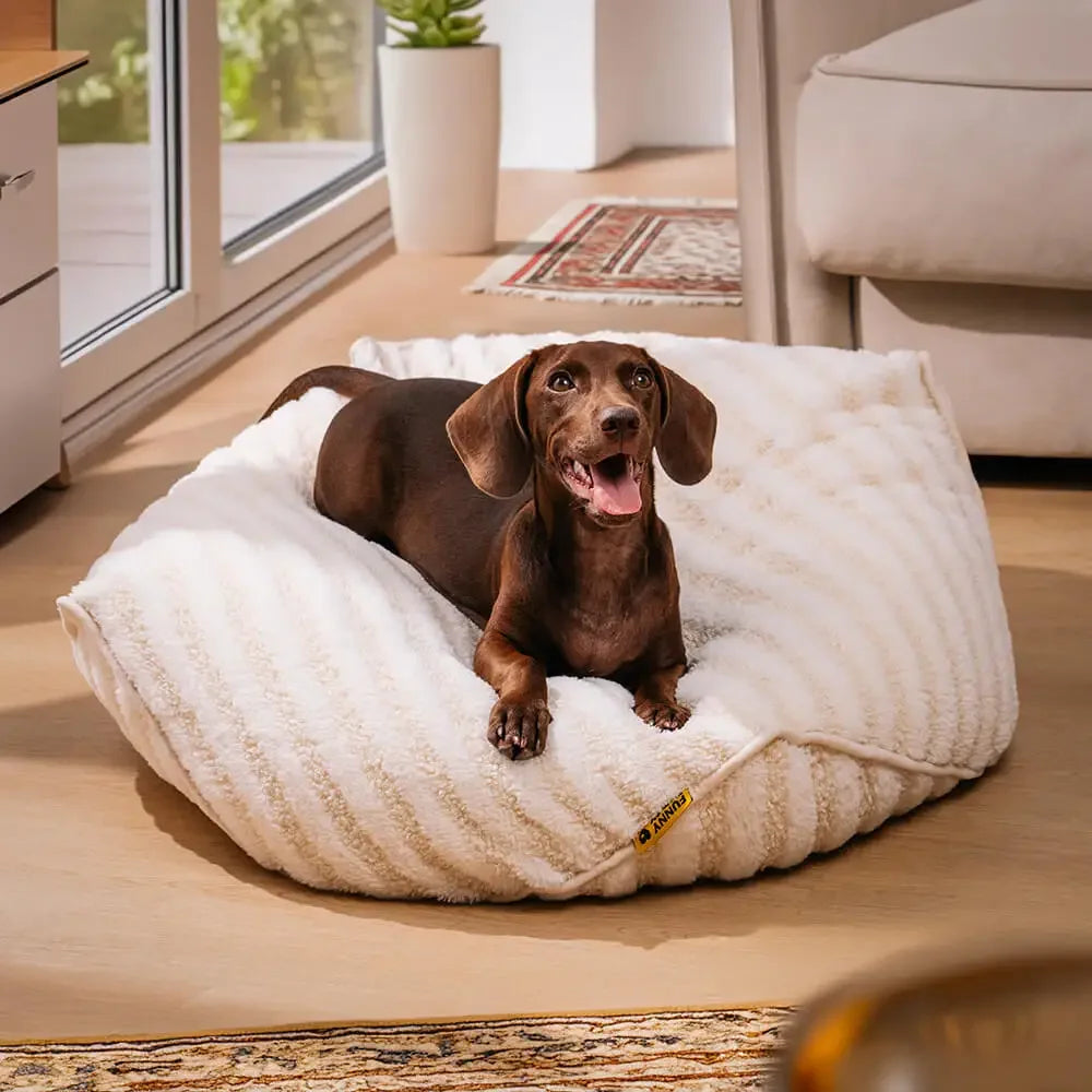Coussin chien déhoussable blanc mousse épaisse