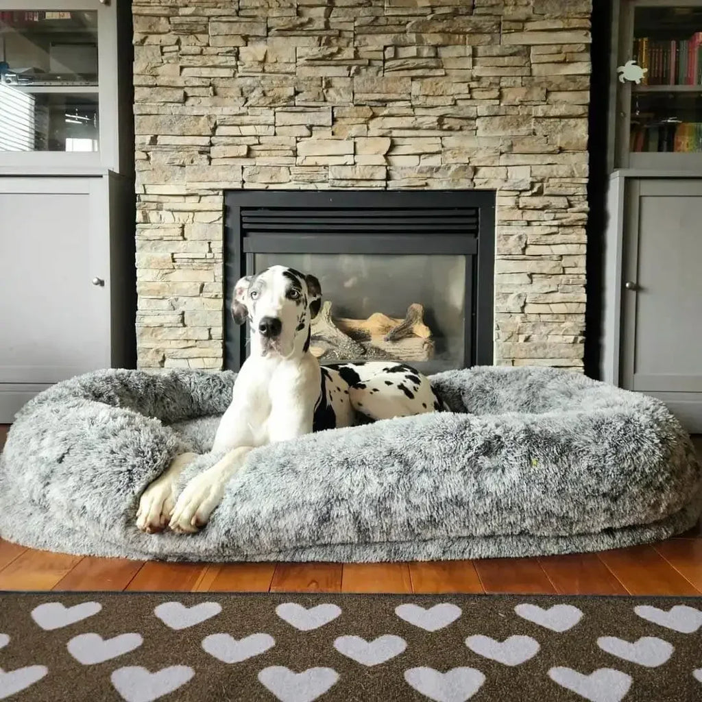 Coussin chien XXL gris de qualité matelas orthopédique