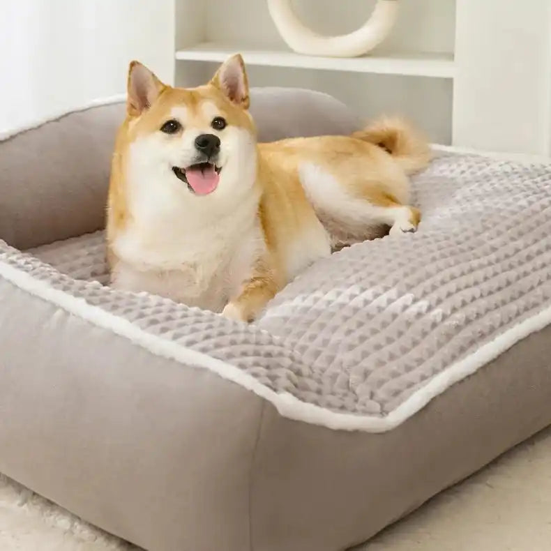 Petit chien assis confortablement sur un coussin pour chien moelleux gris dans une maison élégante