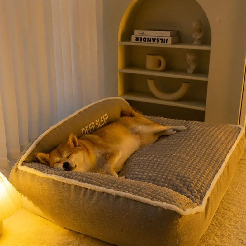 Chien couché sur un coussin moelleux gris dans un intérieur cosy et lumineux