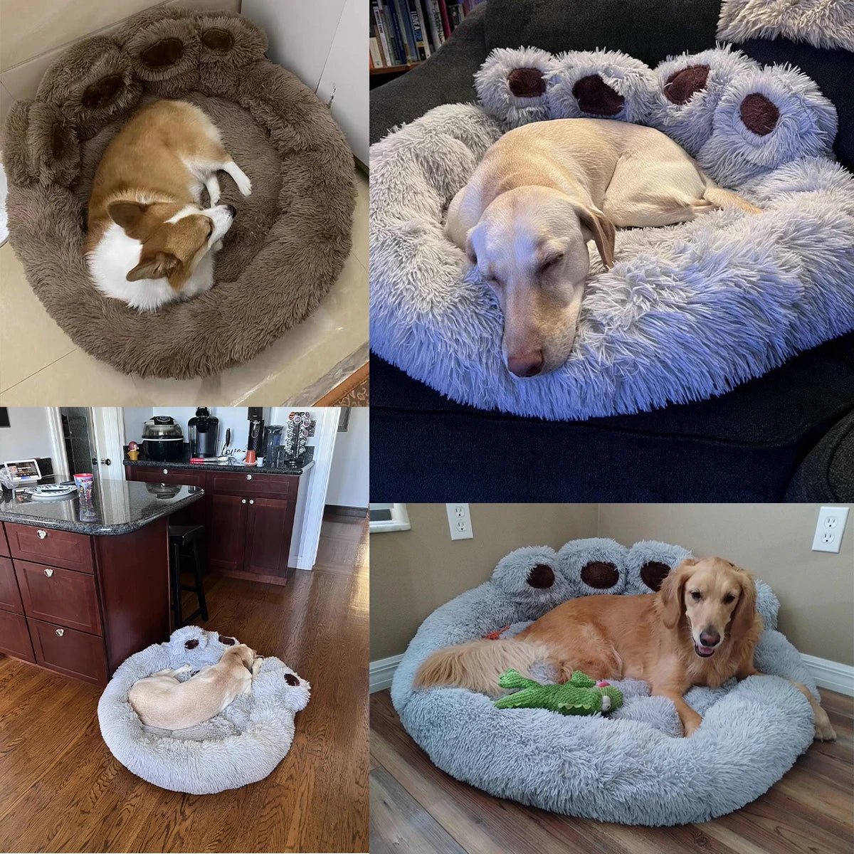 Coussin pour Chien Antidérapant en Forme de Patte – Rond, Doux et Imperméable - Noble Truffe