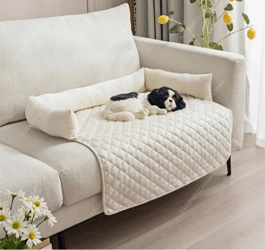 Coussin pour Chien avec Dossier – Confortable, Léger et Lavable - Noble Truffe